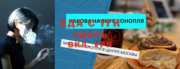 индика Осинники