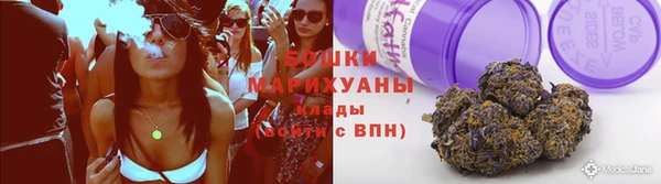 индика Осинники