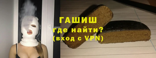 индика Осинники