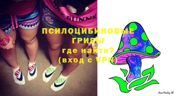 индика Осинники