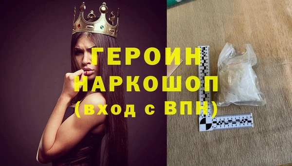 индика Осинники